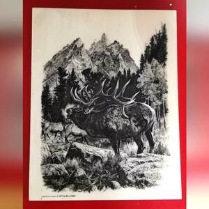 Bill O'Neill Bugling Elk (wapiti) 1977 Etching on Marble